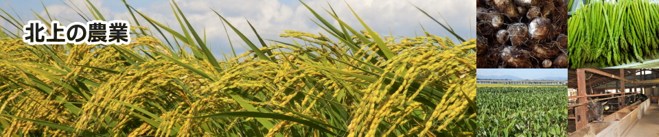 北上の農業